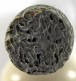 English Walnut Cigar pen with Project 40 band and Ash