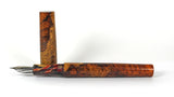 Homerton fountain pen in Amboyna Burl