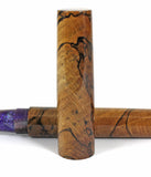Spalted Beech Homerton  Fountain Pen
