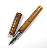 Spalted Beech Homerton  Fountain Pen