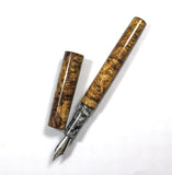 Spalted Big Leaf Maple Homerton  Fountain Pen