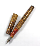 Spalted Big Leaf Maple Homerton  Fountain Pen