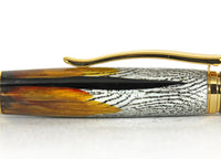 Pembroke with Golden Pheasant Feathers